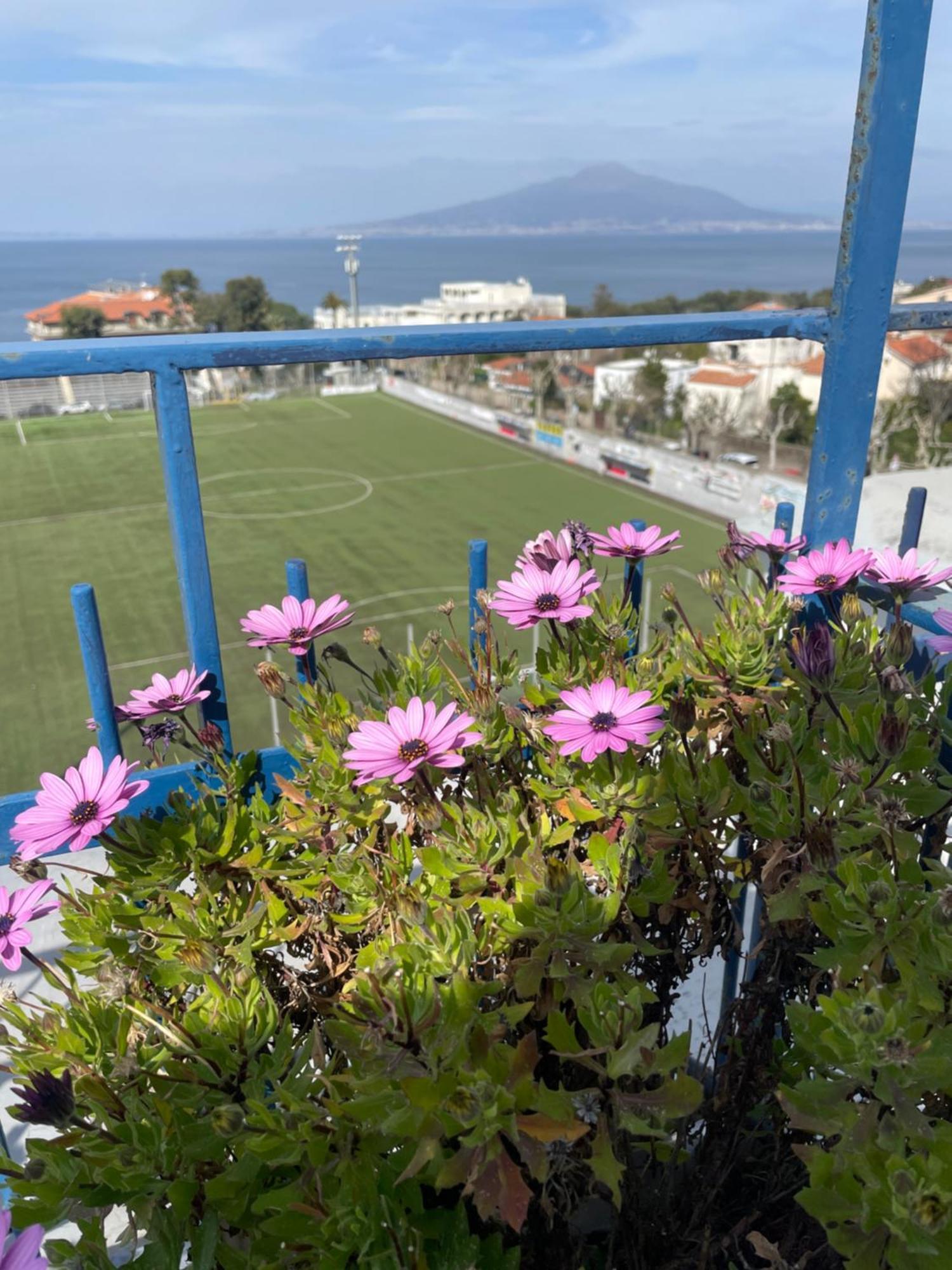 Sea&Skyview Apartment Sorrento Exterior photo