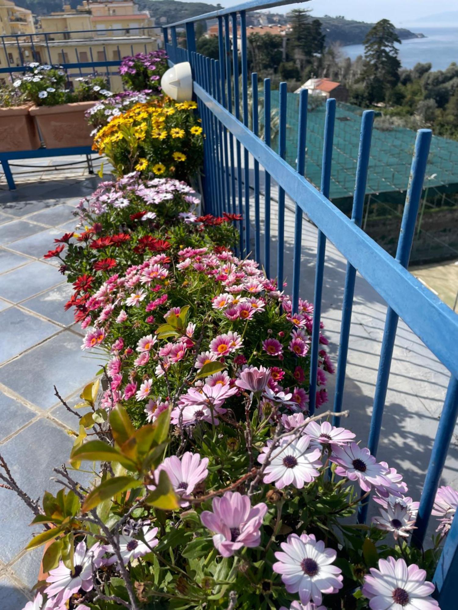 Sea&Skyview Apartment Sorrento Exterior photo